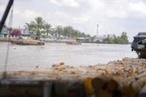Lênh đênh chợ củi Ngã Bảy
