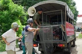 Người đàn ông tử vong với dấu hiệu bệnh dại sau hơn 1 năm bị chó cắn