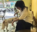 Vài năm trước dắt chó mèo theo vào quán là chuyện thường, nay sao lại khó khăn?