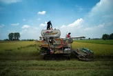 Việt Nam vượt Thái Lan trở thành nước xuất khẩu gạo lớn thứ hai thế giới
