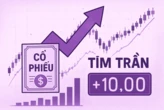 Chứng khoán Việt có diễn biến 'lạ', cổ phiếu đại gia vàng tăng nóng sau tin đặc biệt