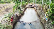 Mùa chụp đìa xứ bác Ba Phi