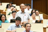 Giảm thuế VAT: Đại biểu nói 'lúc thu rất dễ, lúc hoàn rất khó', đề nghị quy trách nhiệm