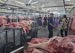 Giá heo hơi miền Nam 'lên đỉnh', người nuôi bớt lo