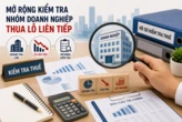 Mở rộng kiểm tra thuế với nhóm doanh nghiệp thua lỗ liên tiếp