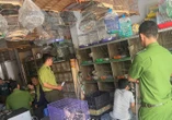Phát hiện hàng chục con chim quý hiếm bị nuôi nhốt trái phép