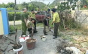 Công an Ninh Bình cảnh báo tình trạng đào trộm, kinh doanh trái phép muội hồng