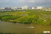 Hai đại gia mới cho Quốc Cường Gia Lai vay 230 tỉ đồng là ai?