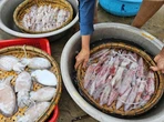 Thị trường Thái Lan 'ghiền' mực, bạch tuộc của Việt Nam, sản phẩm nào 'nóng' nhất?