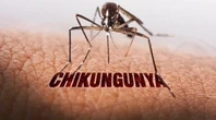 TP.HCM chưa phát hiện ca bệnh Chikungunya, tích cực giám sát và dự phòng