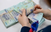 ‘Núi tiền mặt’ hơn 409.000 tỉ đồng của Vingroup, Hòa Phát, FPT… biến động bất ngờ