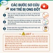 Theo bà lên nương, trẻ 3 tuổi qua đời do bị ong đốt 80 vết