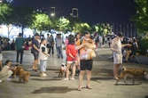 Từ 'tối lửa tắt đèn có nhau' đến mất lòng nhau vì chuyện tiểu tiện của chó