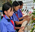 Sau sáp nhập, việc vận động tài trợ cho giáo dục ở TP.HCM cần thủ tục gì?