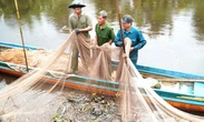 Xuyệt điện tận diệt hết thời ở Cà Mau