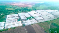 WinEco nâng chất lượng giá đỗ Việt nhờ công nghệ và kiểm soát quy trình
