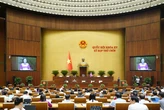 Tin tức sáng 14-5: Dự kiến giảm 50% mức thu loạt phí, lệ phí; Bamboo Capital bị phạt