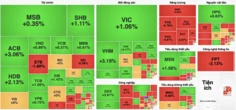 Cổ phiếu dầu khí bị bán tháo, VN-Index vẫn hồi phục gần 9 điểm