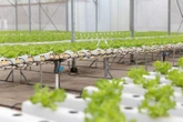 Khi doanh nghiệp Việt thúc đẩy đổi mới - hướng tới phát triển bền vững