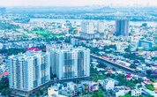 Thủ tướng kết luận: Xem xét chuyển giao Vườn quốc gia Cát Tiên cho Đồng Nai quản lý