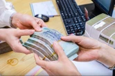 Khi các 'đại gia' nuôi heo, phân bón, bất động sản... cùng báo lãi khủng