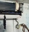 Thợ điện máy Quảng Ngãi tá hỏa phát hiện 4 con rắn lúc nhúc trong máy điều hòa