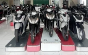 Lệ phí trước bạ xe máy giảm về 2% trên toàn quốc, có mẫu được giảm giá lăn bánh hàng chục triệu