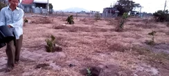 Vụ án bị bưu tá 'phát nhầm' bưu phẩm: Nạn nhân được hướng dẫn gửi lên tòa tối cao