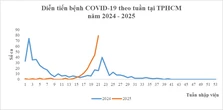Ca COVID-19 tại TP.HCM tăng, trong năm ghi nhận 2 ca có bệnh nền tử vong