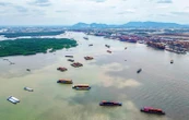 Bộ Chính trị yêu cầu TP.HCM hoàn thành cụm siêu cảng: Cần Giờ là mũi tàu tiên phong