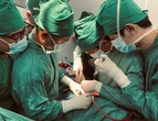 Bệnh viện tỉnh cứu sống thanh niên bị tai nạn vỡ tim