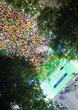 VPBank Hanoi International Marathon 2025: Cú hích cho thể thao, văn hóa và du lịch Thủ đô