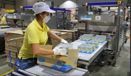Chủ loạt thương hiệu sữa đậu nành Fami, Mộc Châu Milk, Hanoimilk cùng báo lãi sụt mạnh