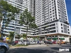 Công ty Phát triển Nhà Đà Nẵng lãi tăng vọt nhờ chốt lời cổ phiếu Vinhomes