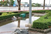 Ngành điện ra cảnh báo khẩn về an toàn điện trong mùa ngập nước