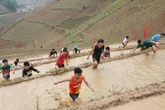 Giải chạy độc lạ nhất Việt Nam: Đua nhau leo ruộng bậc thang Mù Cang Chải