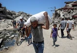 Nhiều người Palestine chết vì đói, Israel tạm ngừng bắn tại 3 khu vực ở Gaza