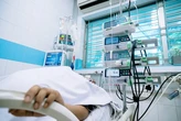 Ca sốt xuất huyết nặng tăng, TP.HCM đẩy mạnh kiểm soát bệnh