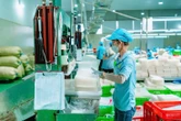 Giá gạo giảm mạnh, doanh nghiệp xuất khẩu bún, phở, bánh tráng… kỳ vọng thắng lớn