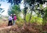 Thu hồi dự án FLC nhưng 'quên' hủy quyết định thu hồi đất