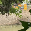 Xác minh clip người đàn ông đổ vỏ chai thủy tinh xuống sông Kẻ Vạn ở Huế