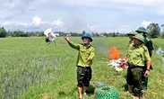 10 con cò trắng được giải cứu giữa 'thiên la địa võng' các loại bẫy chim trời