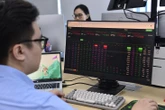 Cổ phiếu Vingroup lại 'gồng' điểm số, VN-Index tăng nhưng nhiều nhà đầu tư buồn