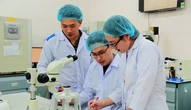 Nhiều nhà khoa học từ trường danh tiếng thế giới ứng tuyển làm việc tại Đại học Quốc gia TP.HCM