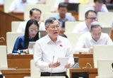 Có 'móc ngoặc' của một số cán bộ với hàng giả, hàng nhái, đại biểu đề nghị kiểm tra cơ quan quản lý