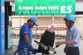 Xăng E10 thay hoàn toàn xăng khoáng, ông lớn chiếm 50% thị phần thí điểm tại TP.HCM từ 1-8