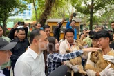 2 Bayi Singa Hasil Breeding indukan Afrika Lahir di Kebun Binatang Surabaya