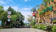 Bandung Barat Catat 83.014 Kunjungan Wisatawan pada Mei 2026, Kawasan Utara Masih Jadi Magnet Utama