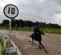 Kejuaraan Pacuan Kuda Sebagai Sport Tourism di Bantul