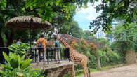 Pungli Parkir di Kebun Binatang Bandung, Bus Pariwisata Diminta Rp150 Ribu